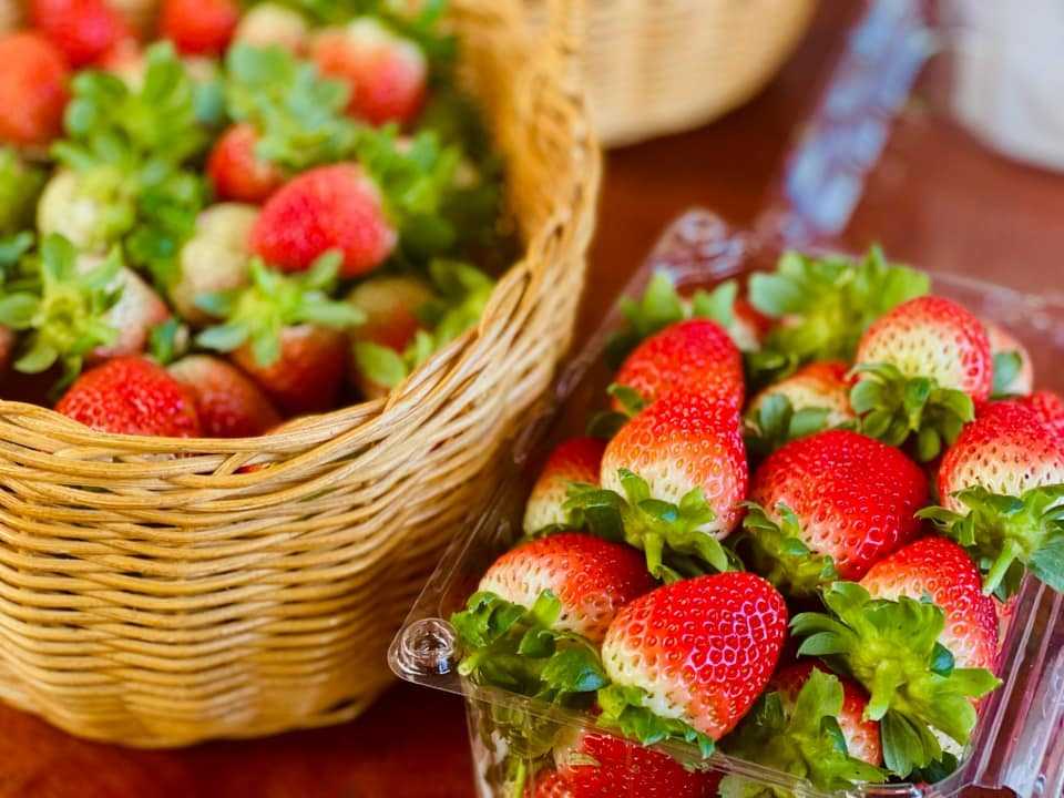 Đặc sản Đà Lạt đạt kỷ lục châu Á có gì lạ?